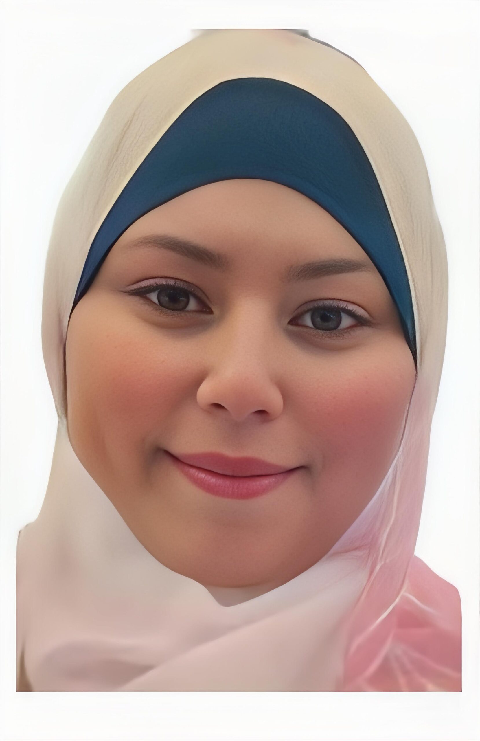 Dr. Fatma El Nabowy Mohamed